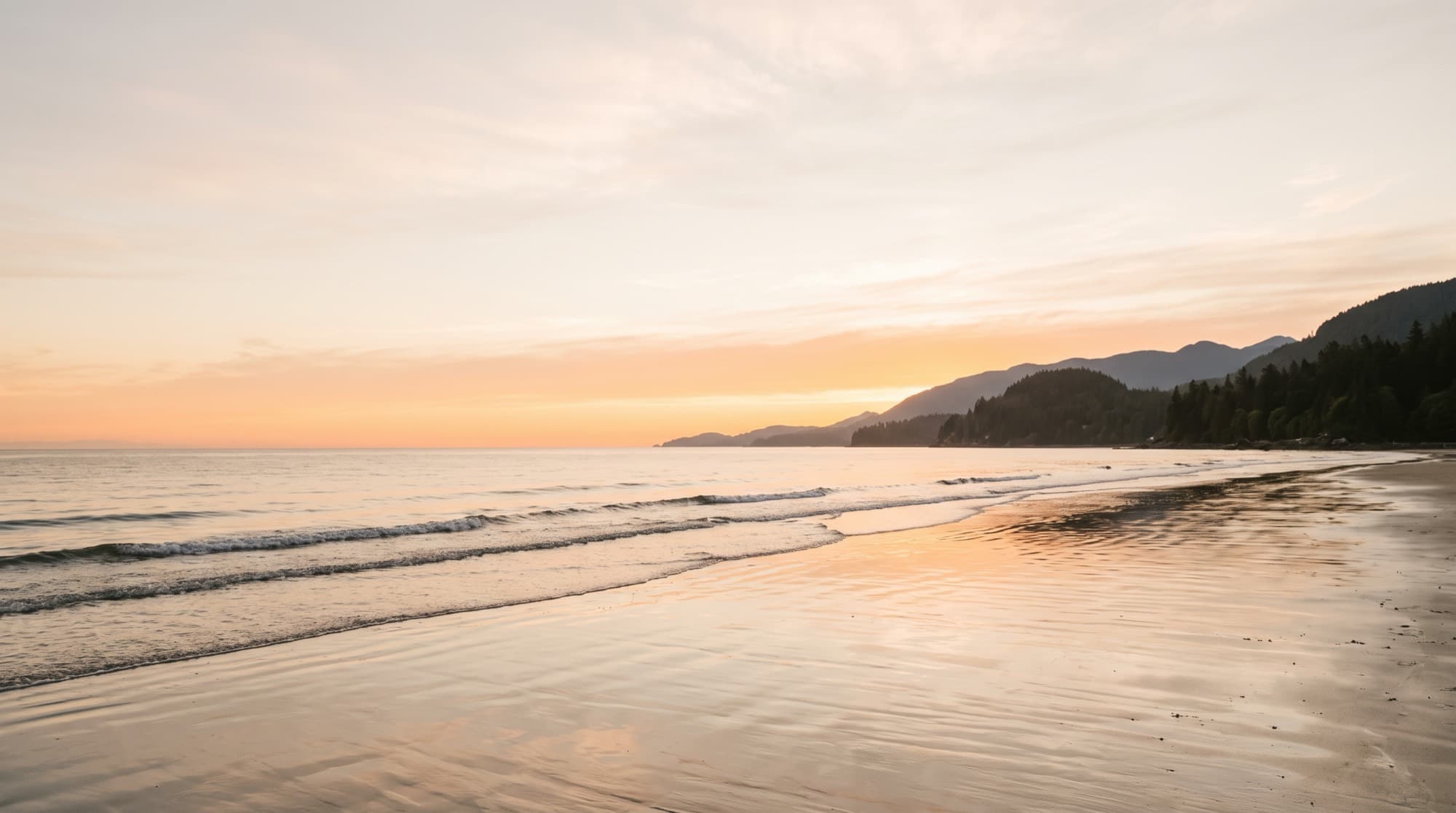 Calm Pacific shoreline at dawn